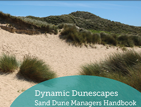 dune guide spotlight